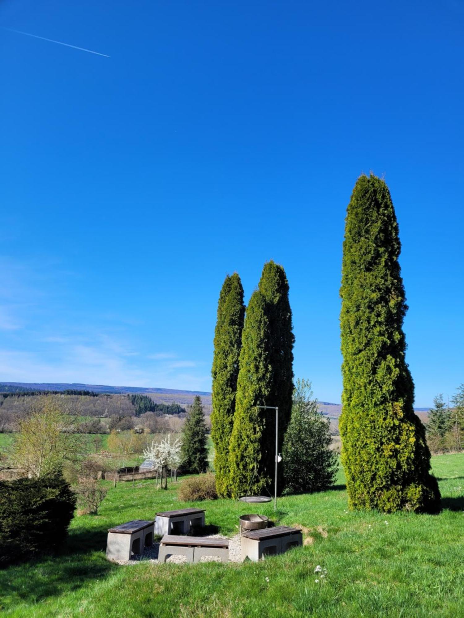Ferienhaus Wilder Hunsrueck Schmissberg Dış mekan fotoğraf