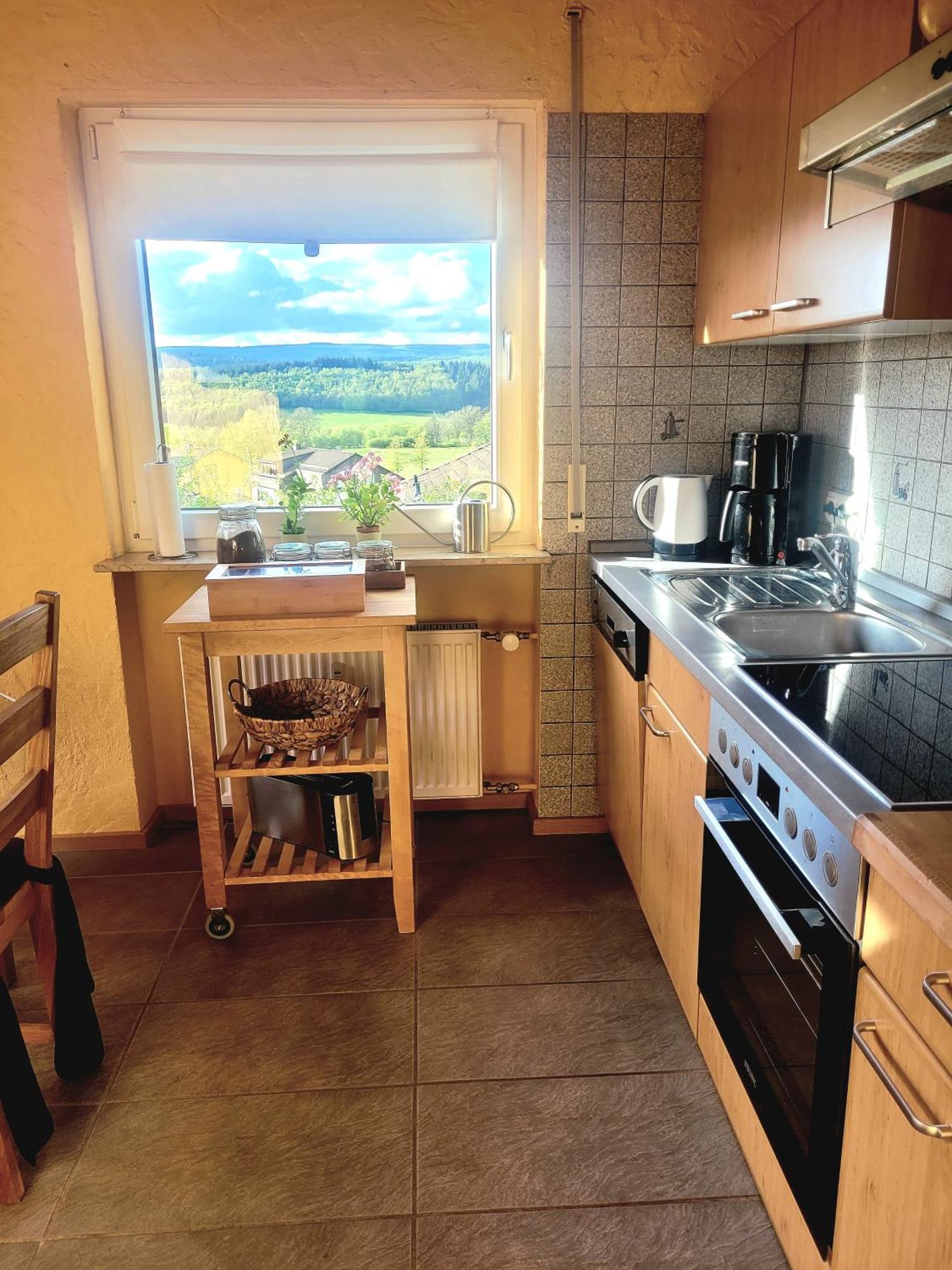 Ferienhaus Wilder Hunsrueck Schmissberg Dış mekan fotoğraf